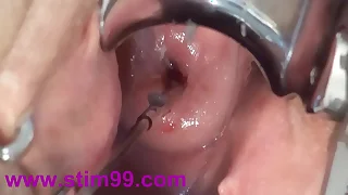 262 bizarre porn videos